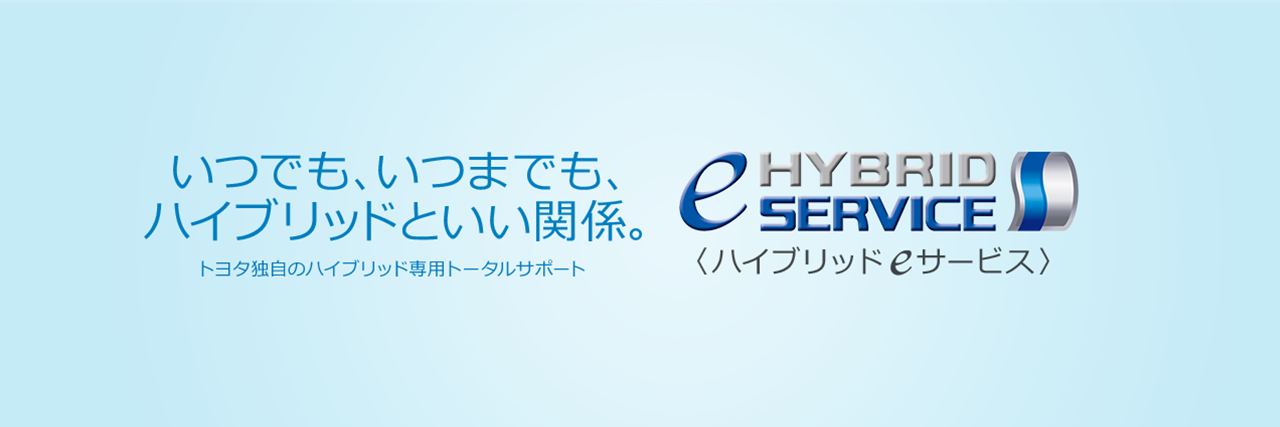 HVeサービス