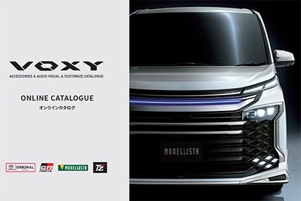 VOXY_catalog