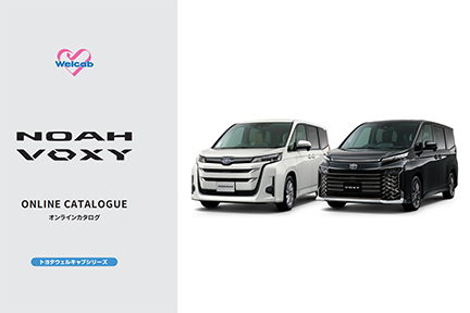 VOXY_catalog