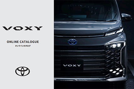 VOXY_catalog
