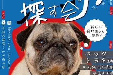 犬猫譲渡会