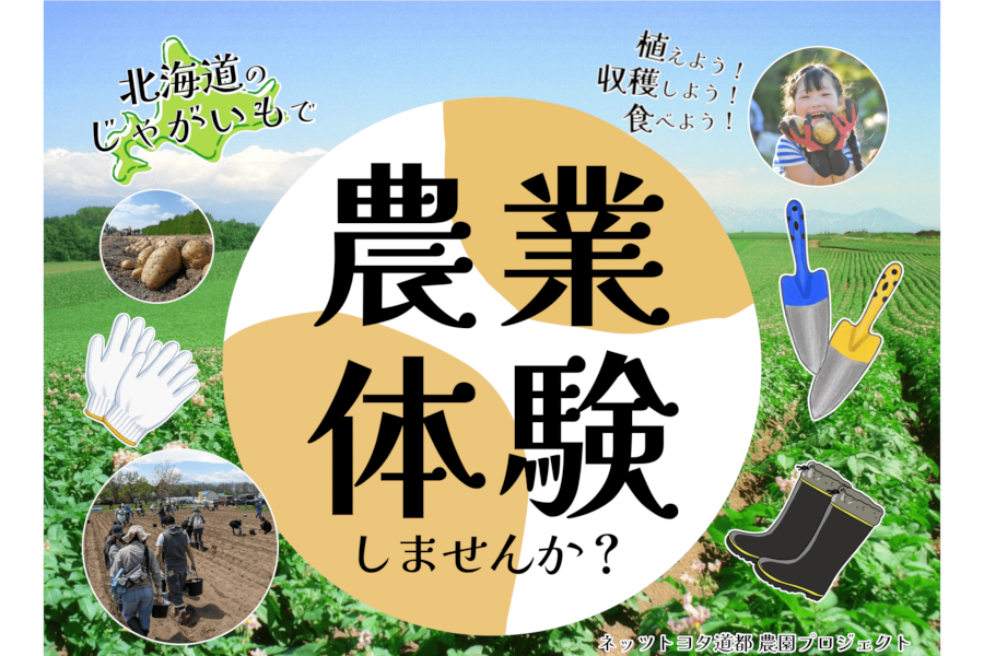 ネッツ道都農園プロジェクト2023HPバナー