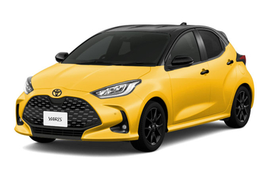 ブラック〈202〉×マスタード〈5C5〉［M25］フロントサイド